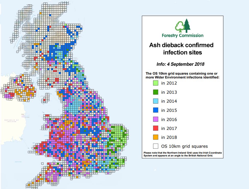 Map of ash dieback sites