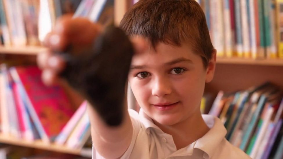 Boy, Six, Finds Giant Megalodon Shark Tooth On Bawdsey Beach - BBC News