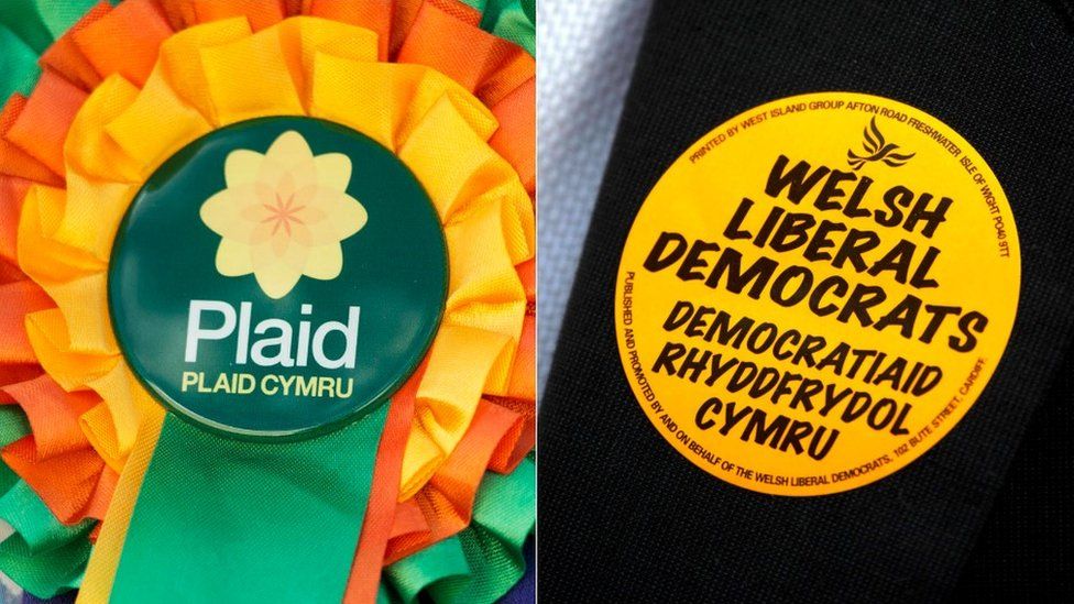 Plaid Cymru a Dem Rhydd