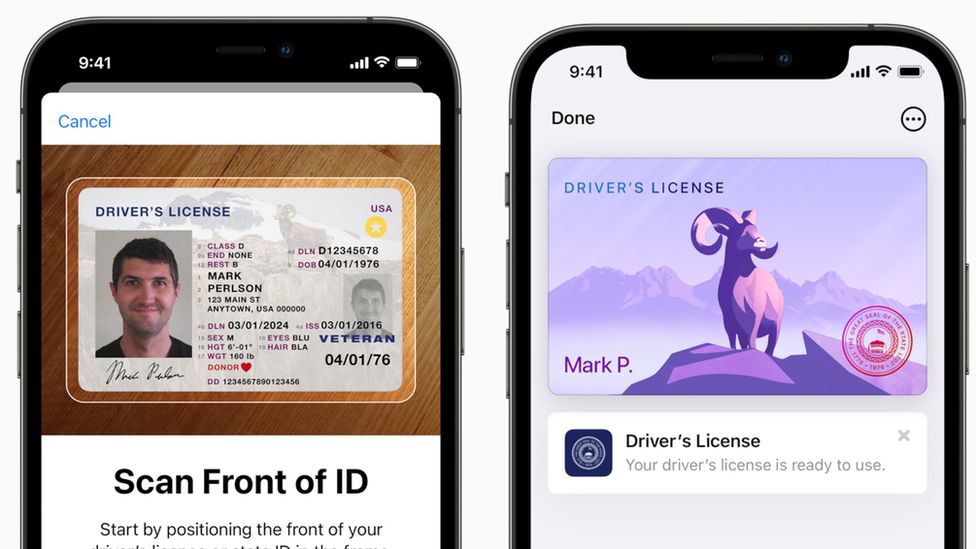 Примеры водительских прав в приложении Apple Wallet