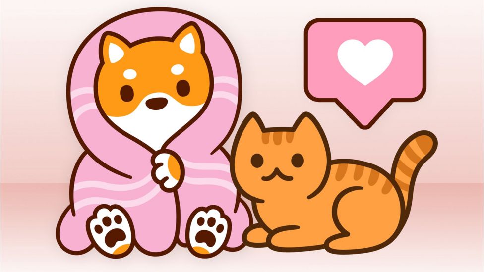 Coronavirus Cat owners fear pets will make them sick BBC News