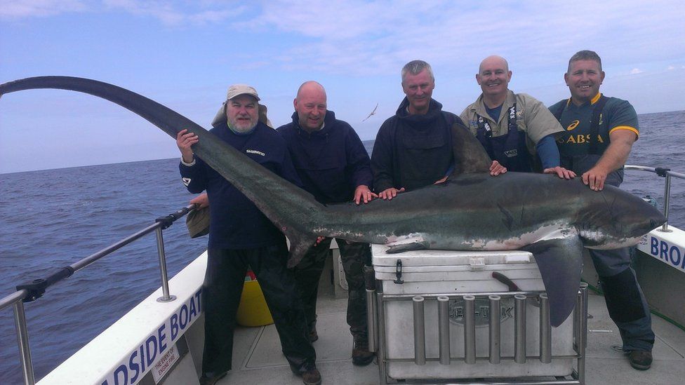 The thresher shark with the fishermen