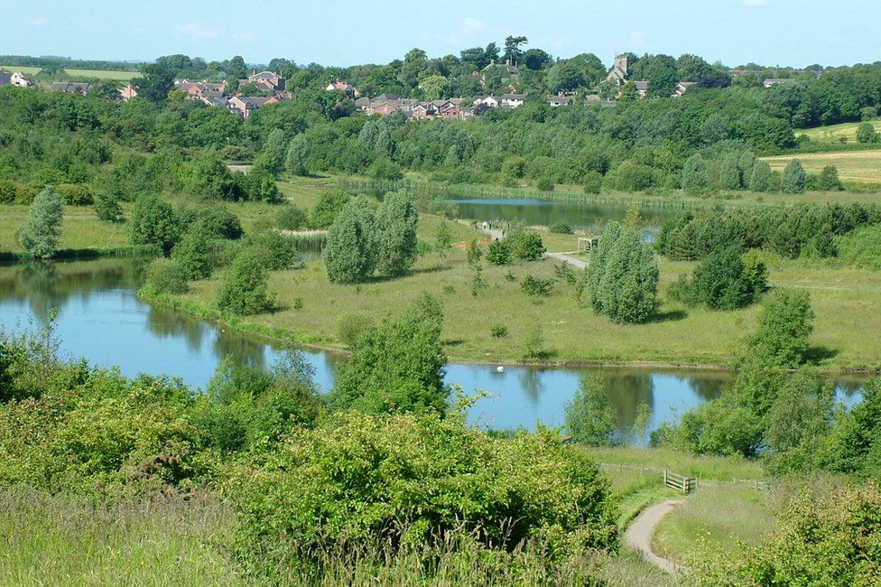 National Forest celebrates 25 years - BBC News