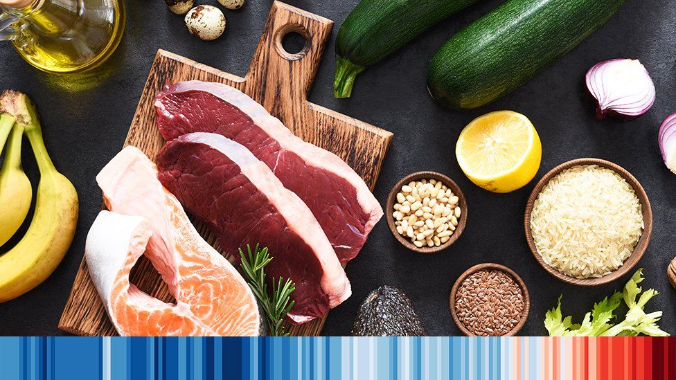 header image illustrating different foods like red meat, salmon, grains, rice and vegetables, with climate stripes below