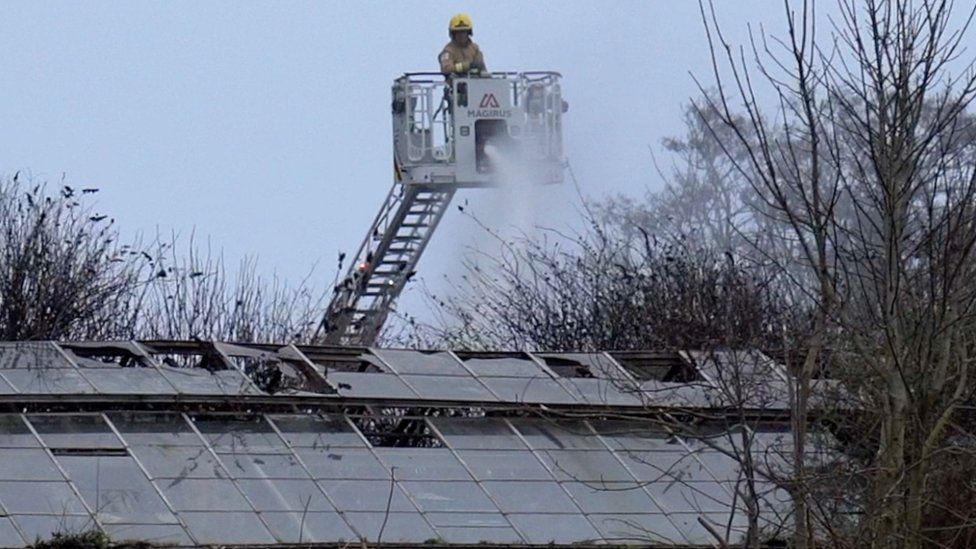 Sparks from grinder cause fire in Guernsey vinery BBC News