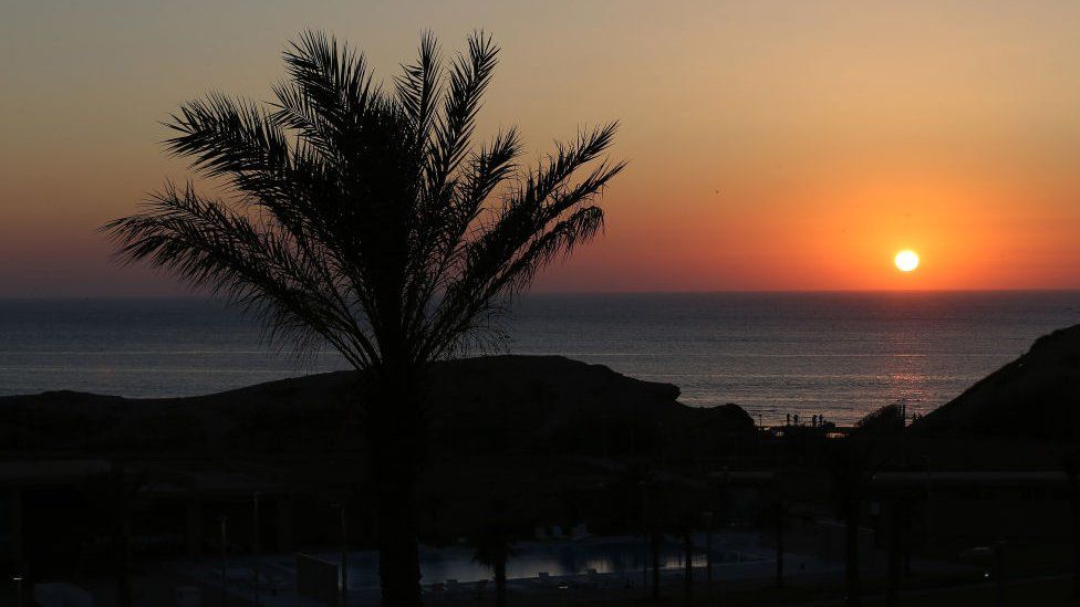A sunset over water, with a palm tree in the distance.