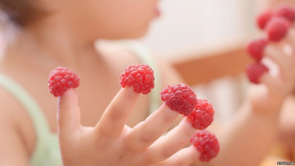 Child counting raspberries