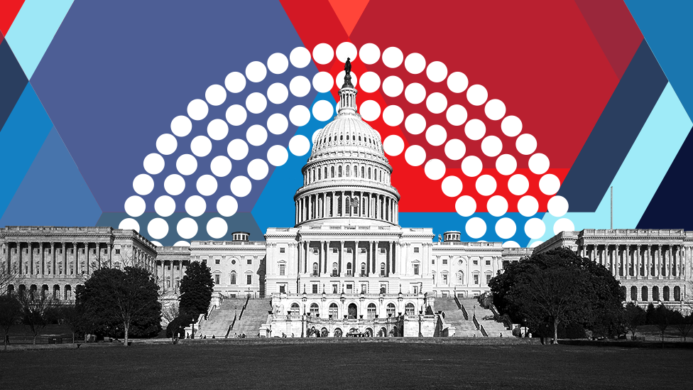 Graphic of the US Capitol building