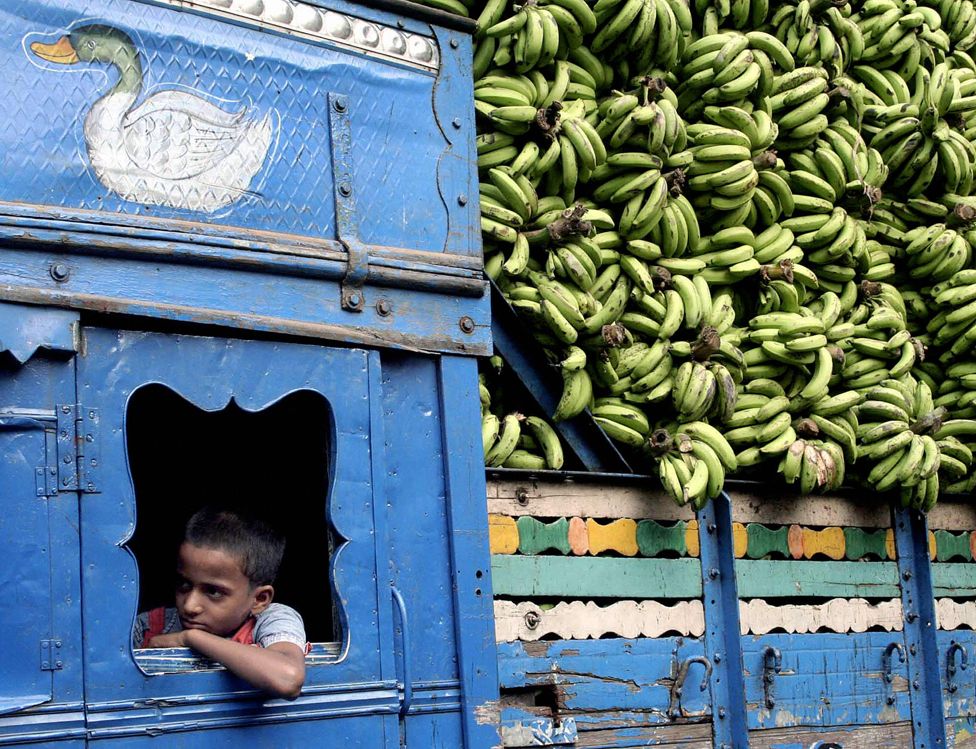 A lorry with a large load of bananas, Kolkata