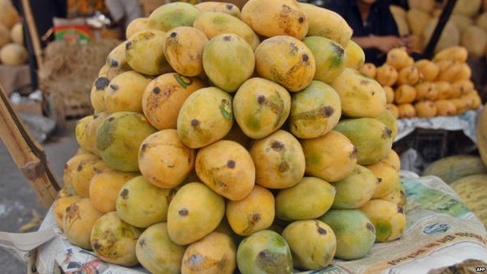 Pakistani mangoes