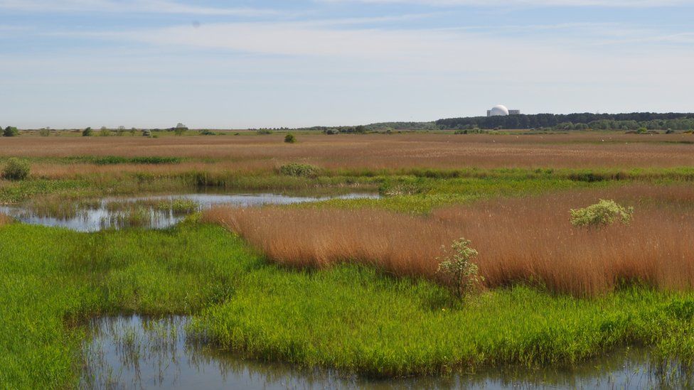 Sizewell nuclear power plants seen from RSPB Minsmere