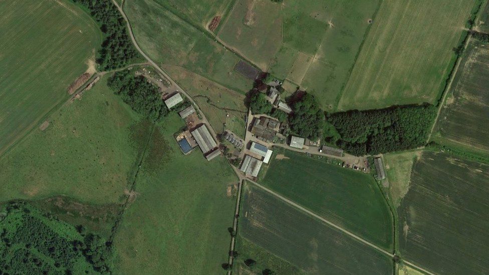 Aerial view of a farm surrounded by fields