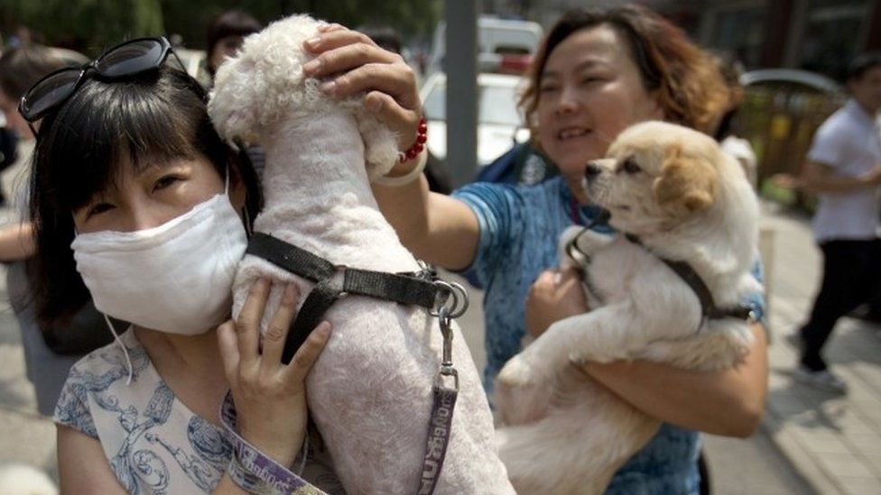 Animal rights advocates carry dogs as they walk outside of the Yulin government office in Beijing (10 June 2016)