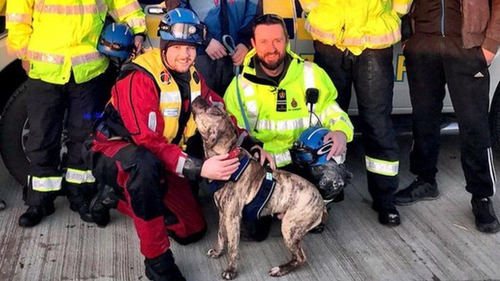 Nico with his rescuers