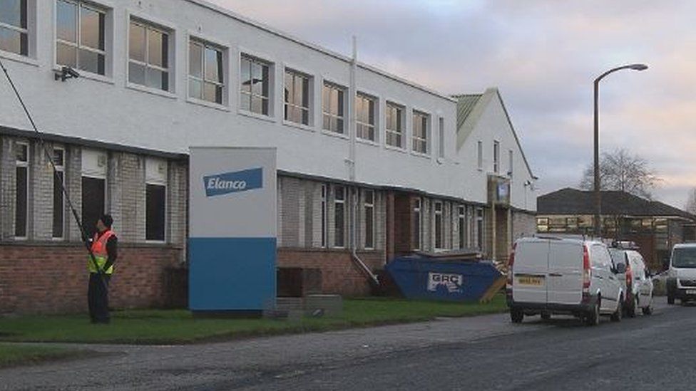 Job loss fears at Dundee animal health products factory BBC News