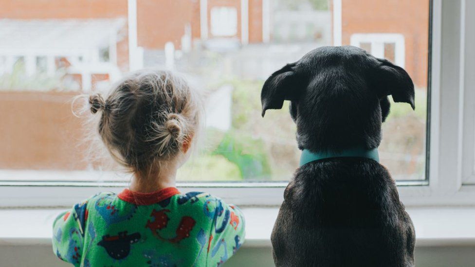 Dog with a child looking out the window