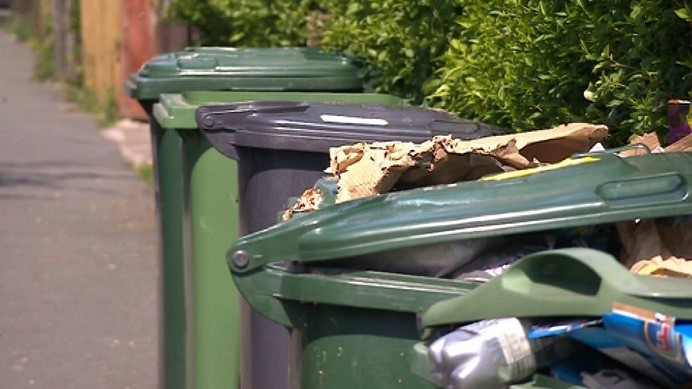 Green bins in Kirklees
