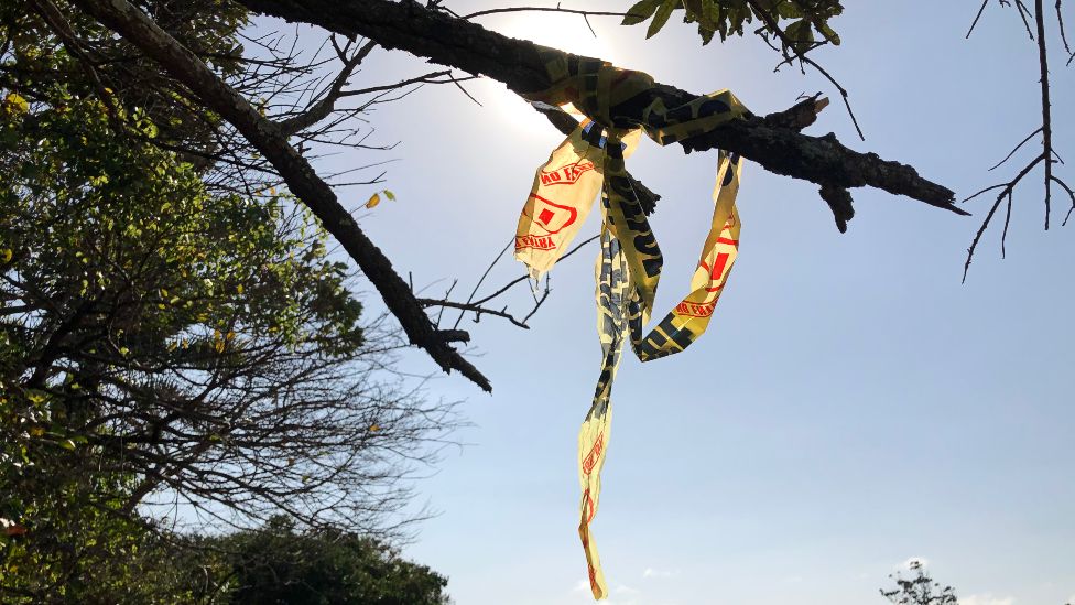 South Africa's sugar cane murders Living in fear of serial killings