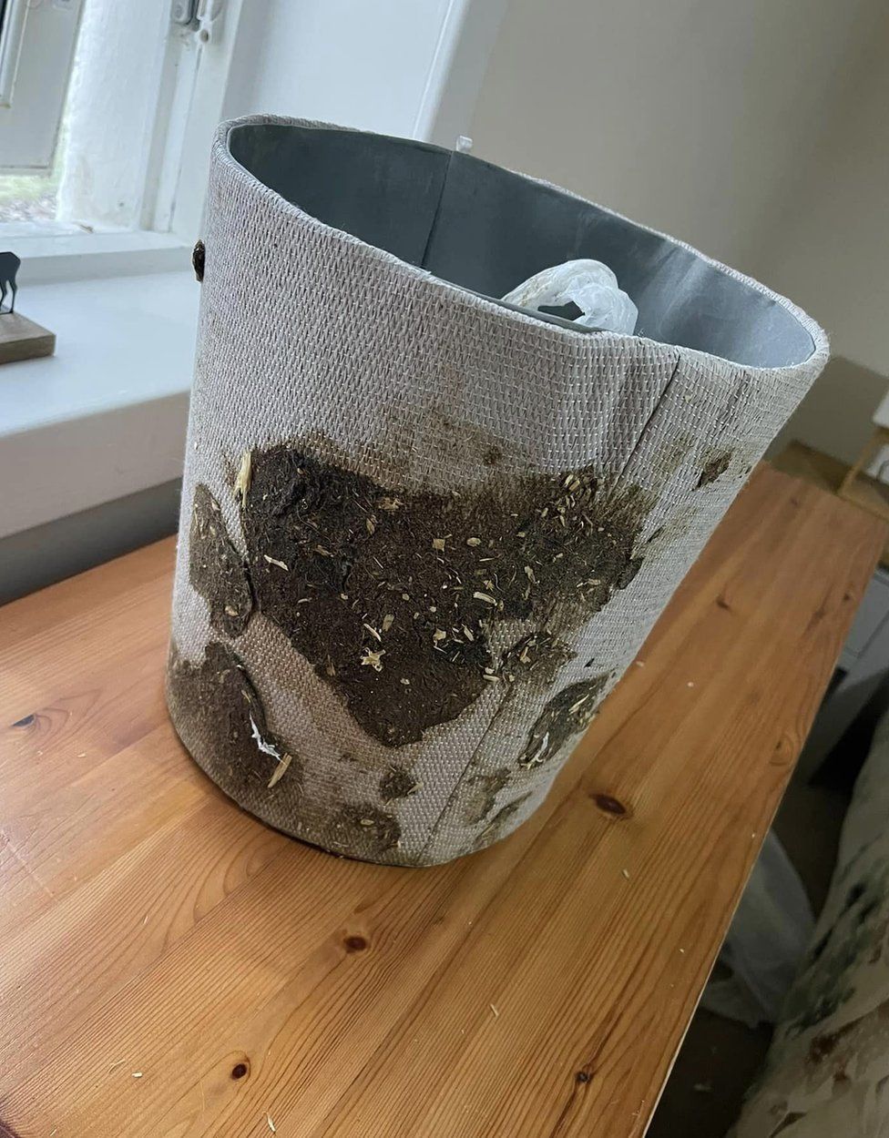 Waste paper bin covered in dog faeces