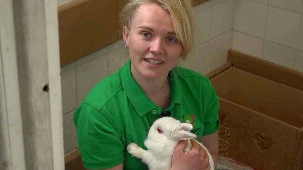An animal sanctuary worker