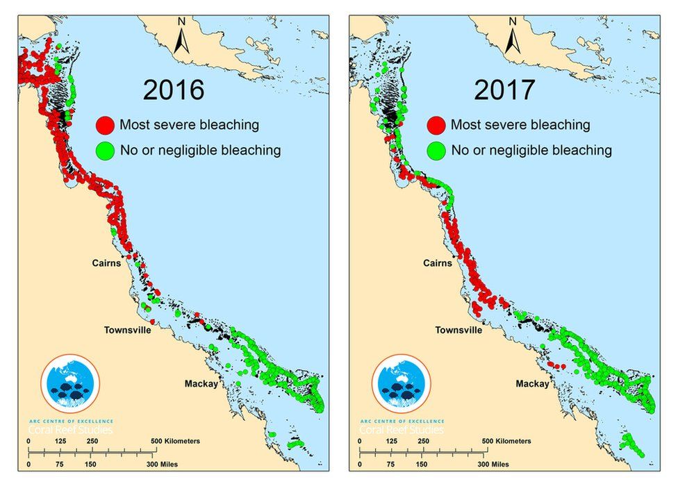 A graphic showing damage to the Great Barrier Reef in 2016 and 2017