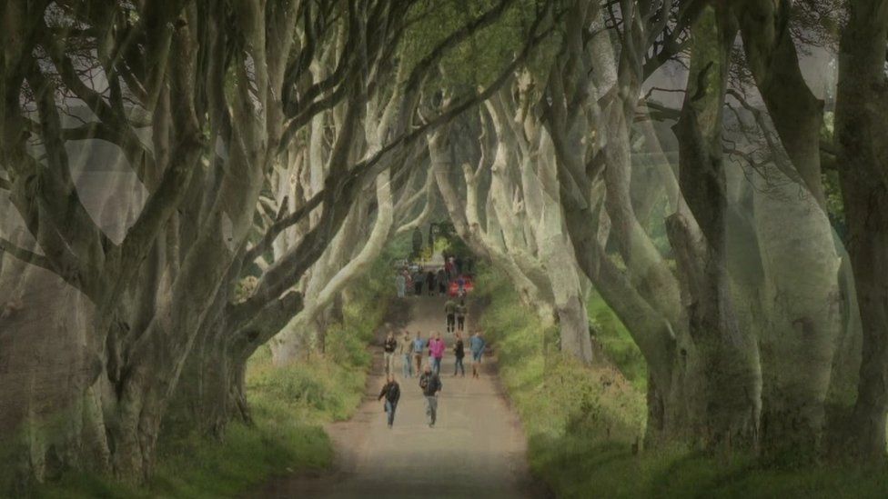 Tourists at the Dark Hedges