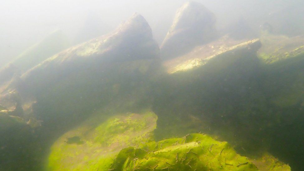 A murky view underwater in the River Cam, just outside Cambridge. Visibility is low.