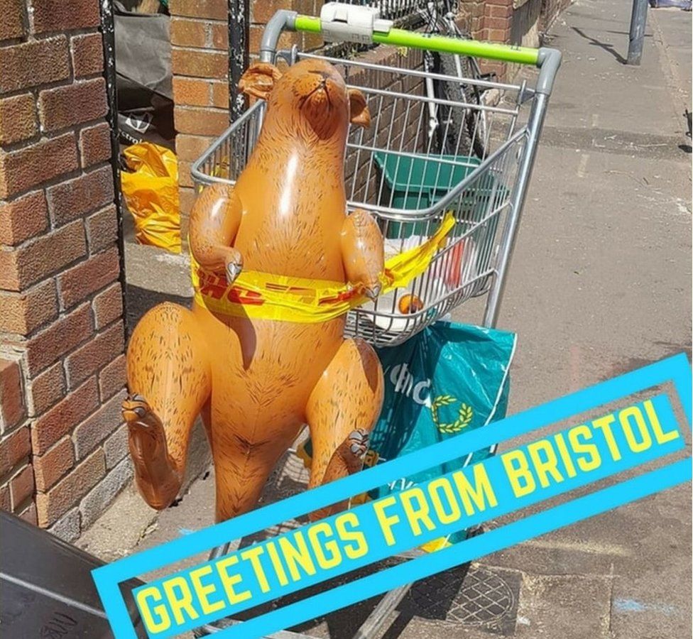Kangaroo tied to a shopping trolley, Bristol