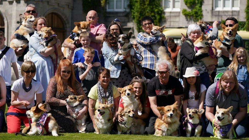 People and corgis outside Balmoral Castle