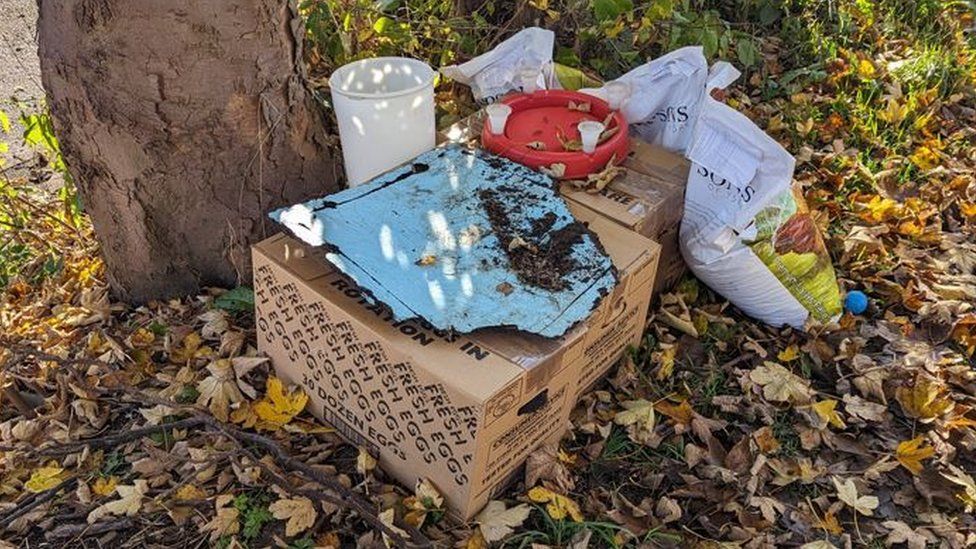 Boxes and bird food dumped on roadside