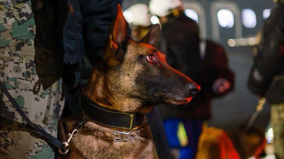 Ecko at the Mexico City airport before his deployment