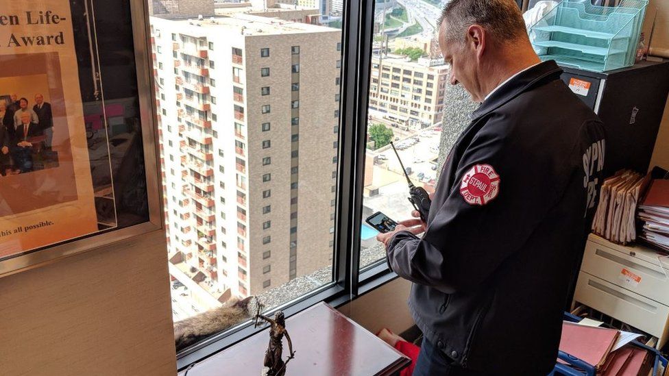 A fire official takes photograph of raccoon through glass