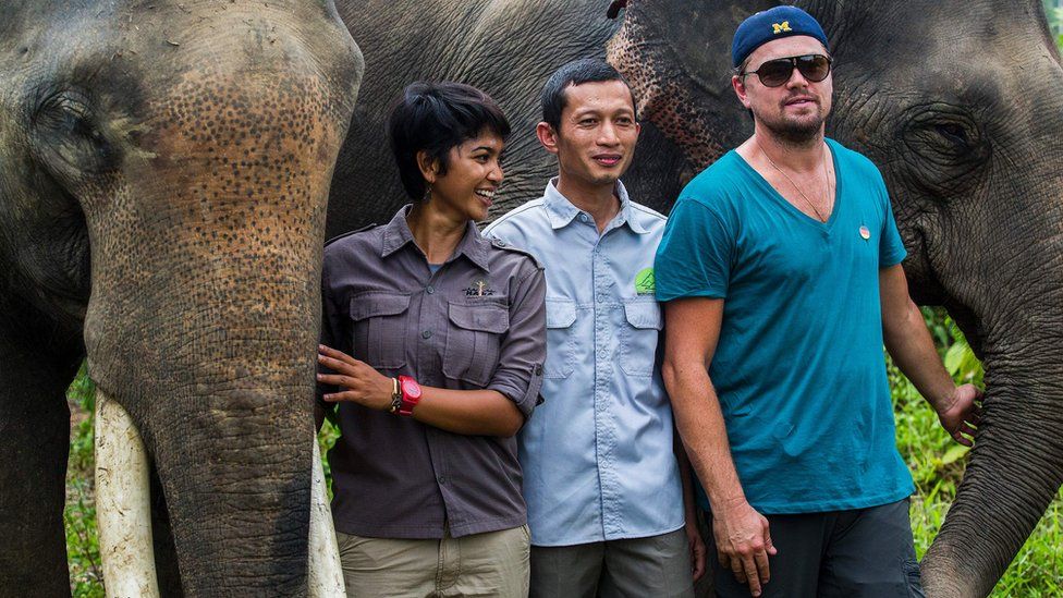 Leonardo DiCaprio with elephants in Leuser National Park