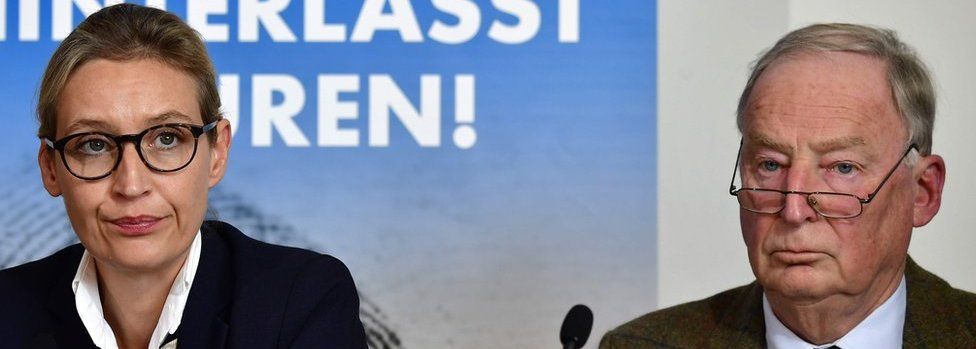 AfD's lead candidates: management consultant Alice Weidel and lawyer Alexander Gauland