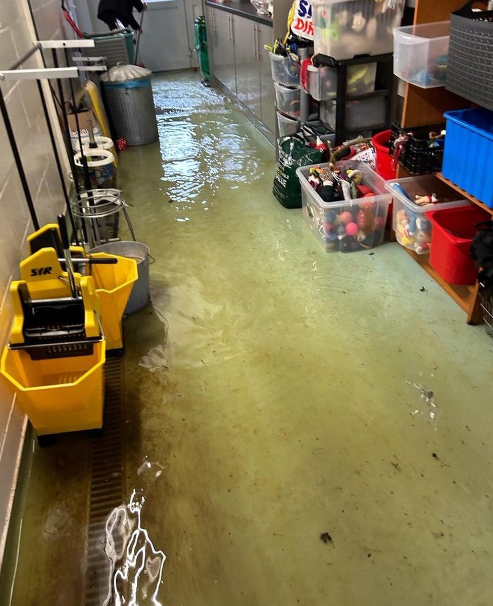 Floodwater inside the animal rescue building