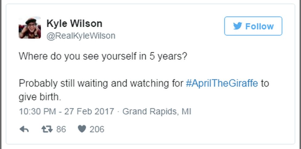 A tweet reads: "Where do you see yourself in 5 years? Probably still waiting and watching for #AprilTheGiraffe to give birth."