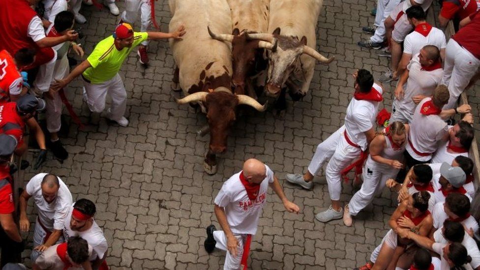 Revellers sprint in front of steers during the first running of the bulls at the San Fermin festival in Pamplona