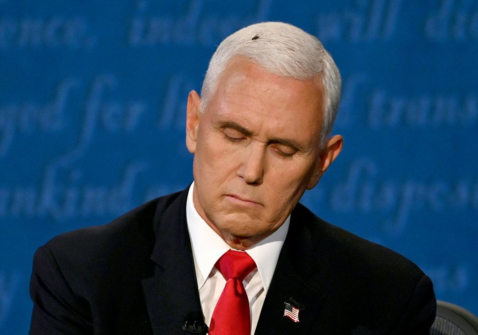A fly sits on Mike Pence's head