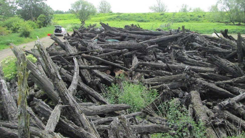 Tree logs piled up in field