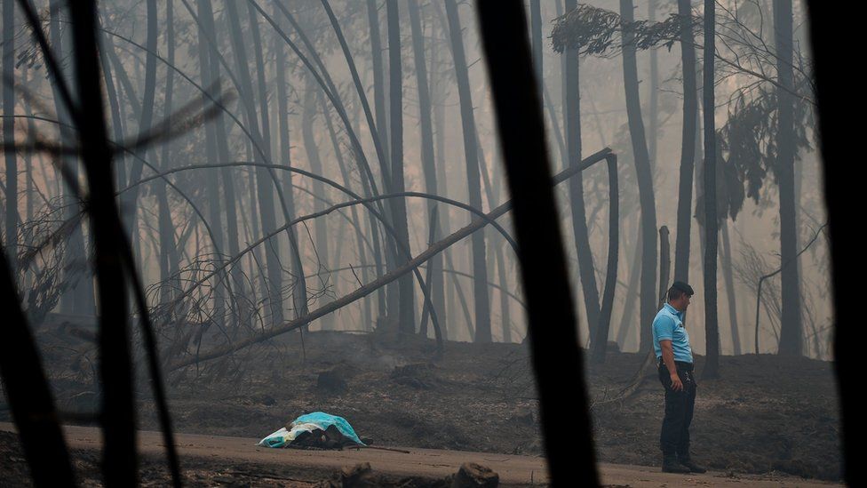 A policeman stands by a dead body of a victim of a wildfire in Pedrogao, on June 18, 2017
