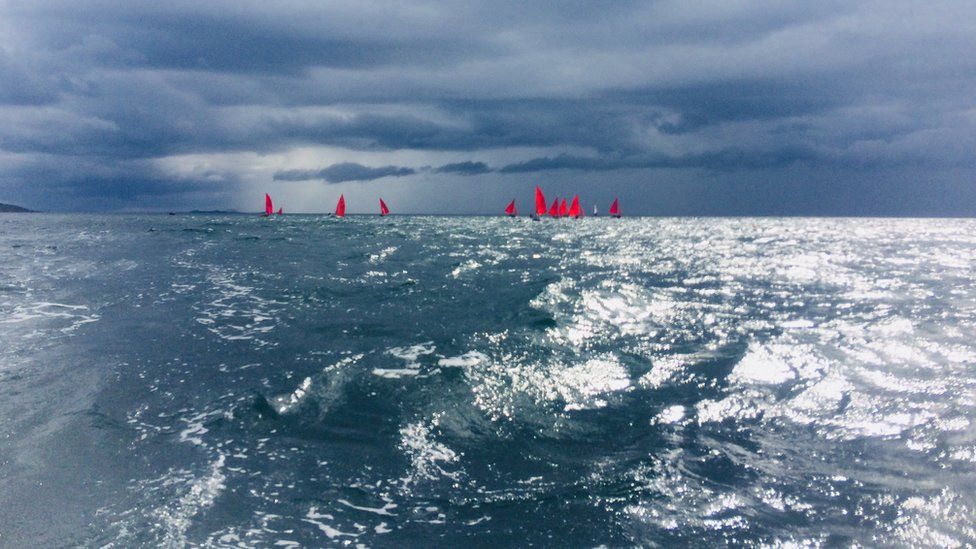 Red sails at sea