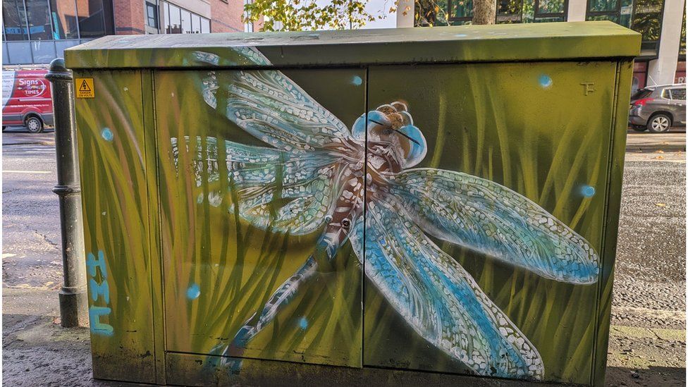 A painting of a dragonfly on an electrical box on the Dublin Road in Belfast