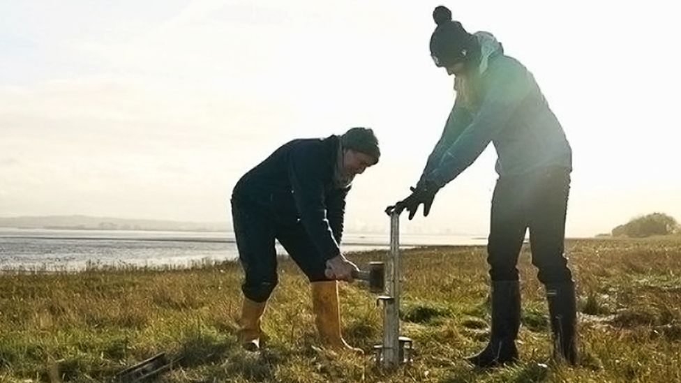 Researchers from the university of St Andrews studying salt marsh mud