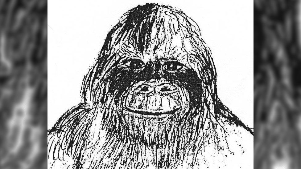 An alleged eyewitness drawing of a Bigfoot seen in the US