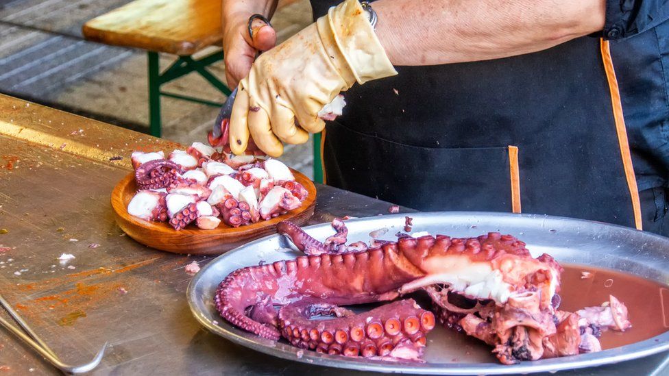 octopus being cut up