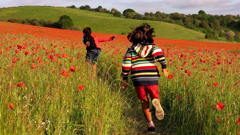Boys running in a poppy field