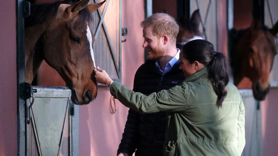 The Duke and Duchess of Sussex stop to stroke a horse