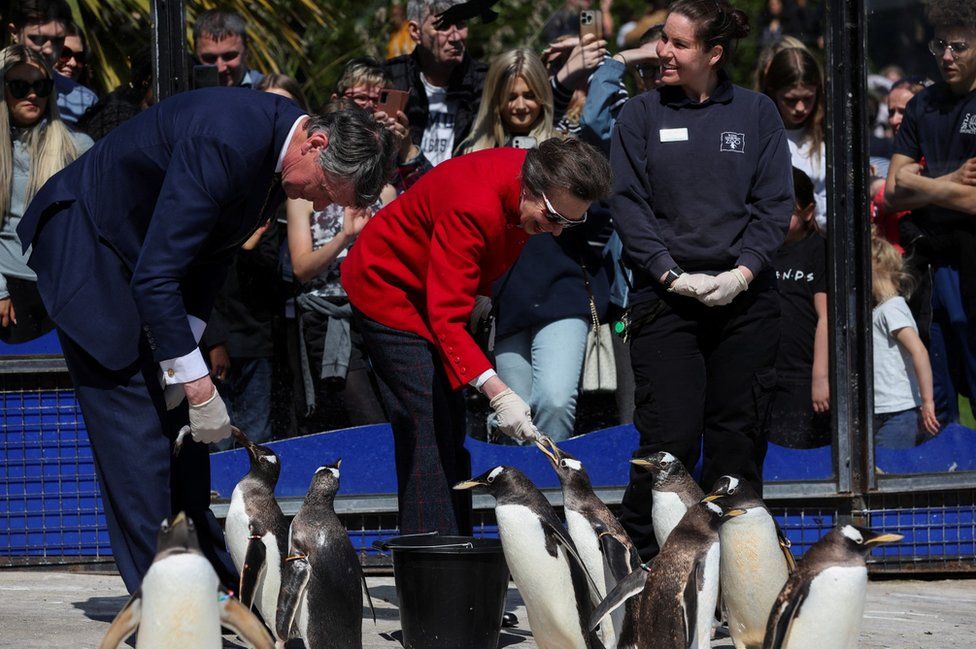 Princess Anne feeding penguins
