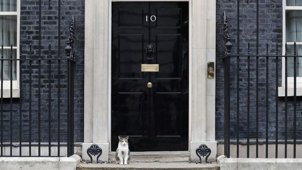 No 10 door (and Larry the cat)