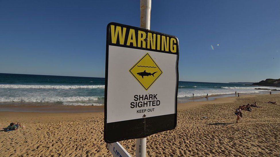 A shark warning sign on a beach in New South Wales, Australia. File photo
